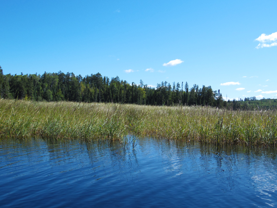 Location on Stuart River where creek from White Feather Lake flows in - BWCA